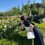 ayaの画像