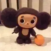 チェブの画像