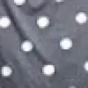 ドミアの画像