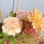 o_nの画像