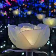 @マーマーの画像