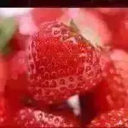 いちご畑*:.✧プロフ必読お願いします。の画像