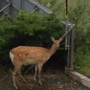 soraの画像