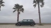ゴン太の画像