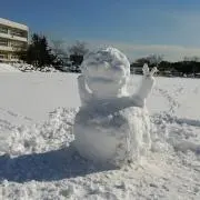 もこ丸の画像