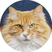 maro.fujiedaの画像