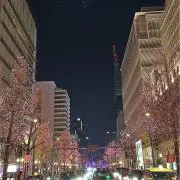 ???の画像