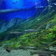 セサミごま⭐SHOP⭐【プロフ必読】