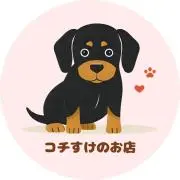 【即購入OK】コチすけのお店の画像