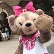 はちの画像