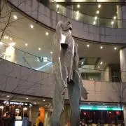 チャドの画像