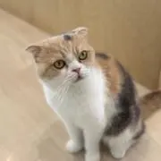 るんの画像