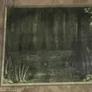 yths_TCGの画像