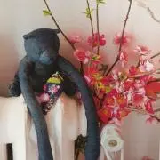 kyo♡の画像