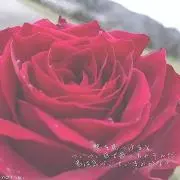 n@☆の画像
