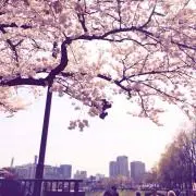 puuuの画像