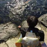 ななりんねね