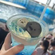 みー♡まとめ買い大歓迎！の画像