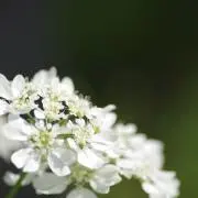 sの画像
