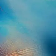 こあら