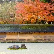 らむの画像