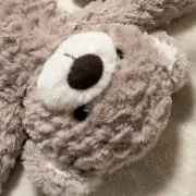 ぼーの画像