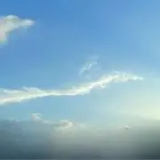 amaの画像