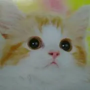 みやちゃんの画像
