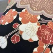 リサの画像