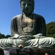 NINの画像