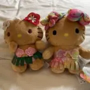 alohakittyの画像