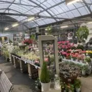 みや　1ヶ月前のお花確認お願い致します。の画像