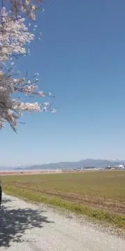 ゆんゆんの画像