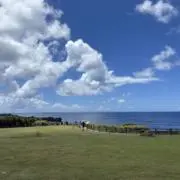 ぴょんの画像