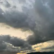 おーの画像