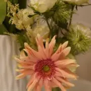あい