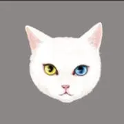 あずき⭐︎プロフィールご確認くださいの画像