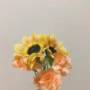 さぼんの画像
