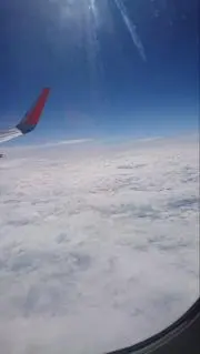 noahの画像