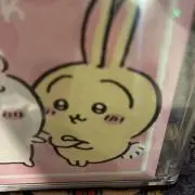 ドンボンの画像