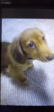 栄二の画像