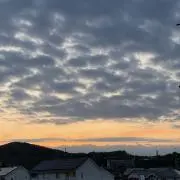 新の画像