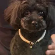 れい