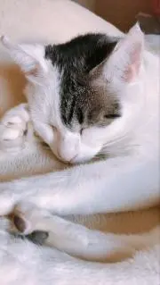 kimio0129の画像