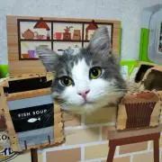 けろよんさんの画像