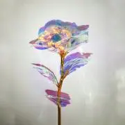 moの画像