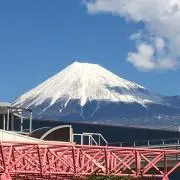 チャチャの画像