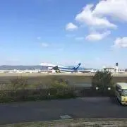 RP3の画像