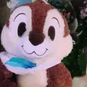 シマリスの画像