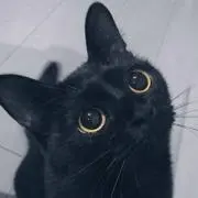 ましたろ